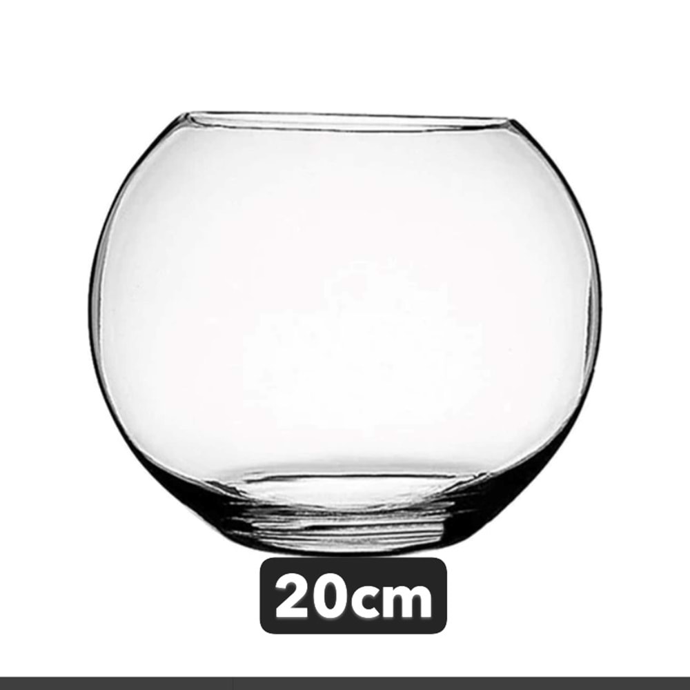 CAM FANUS 20 CM *12