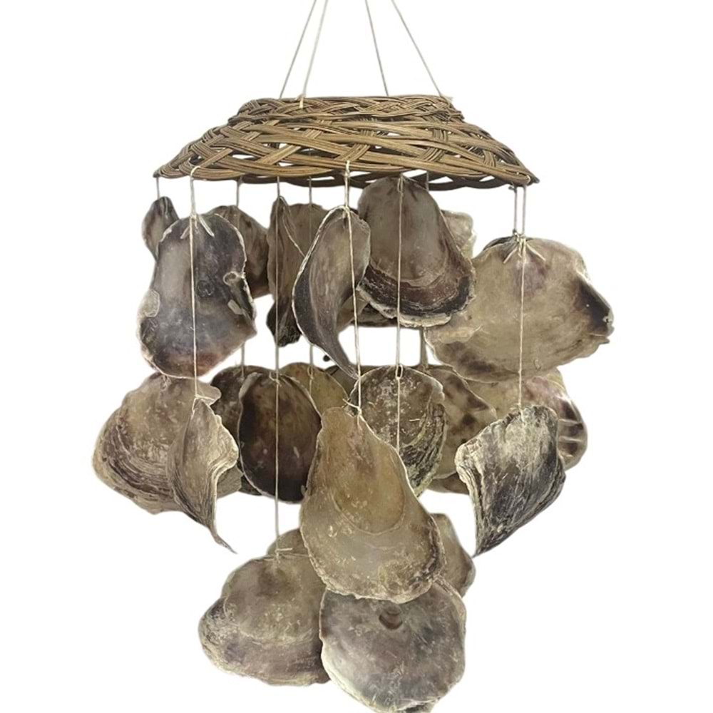 DENİZ KABUĞU MEGA BOY SARKAÇ SÜS