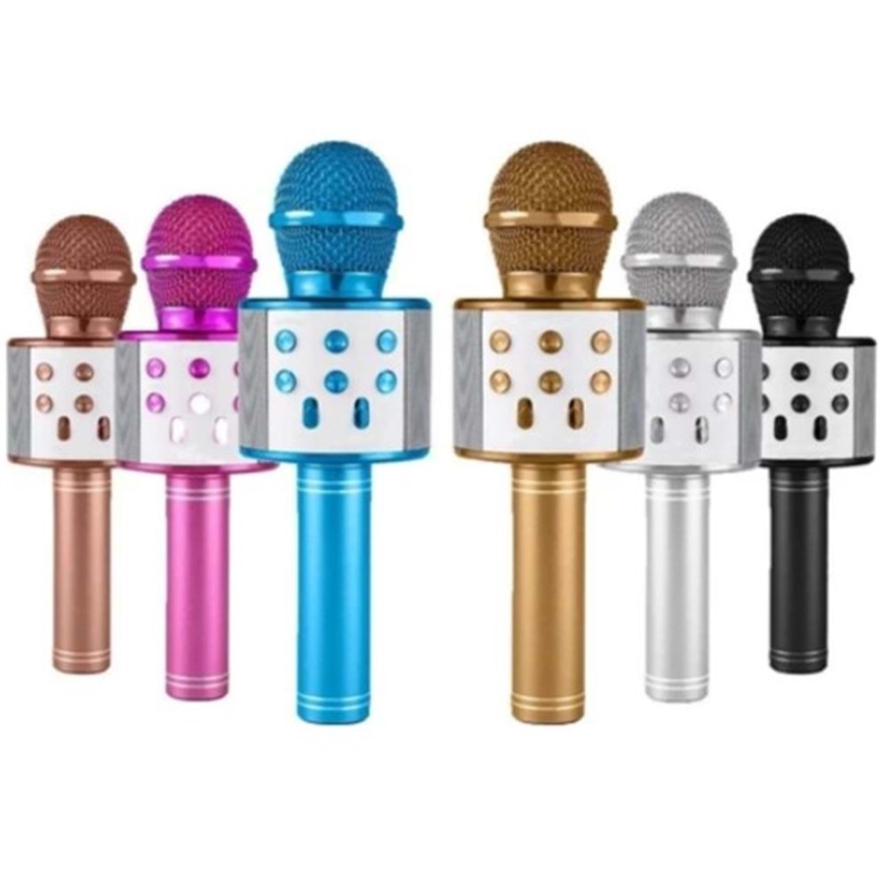 POLYGOLD KARAOKE MİKROFON