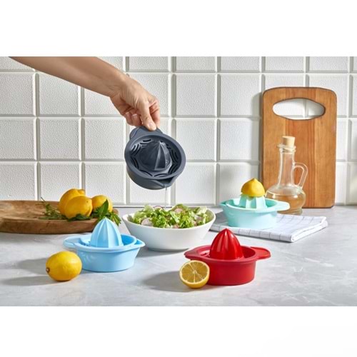 ORGANİZERS SİMPLE LİMONLUK HAZNELİ 24*