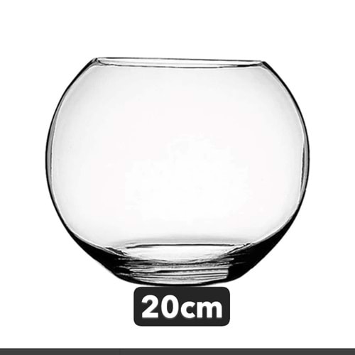 CAM FANUS 20 CM *12