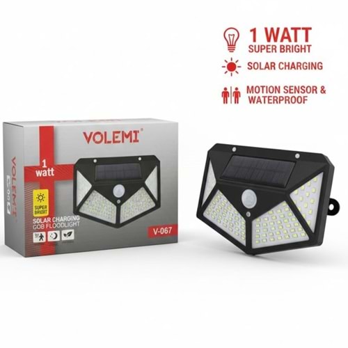 VOLEMİ GÜNEŞ ENERJİLİ BAHÇE AYDINLATMA LAMBASI