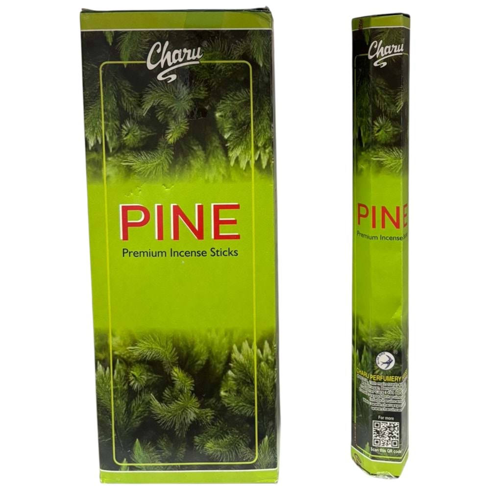 CHARU TÜTSÜ ÇAM AĞACI *6