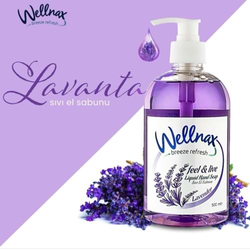 WELLNAX SIVI EL SABUNU 500ML *12