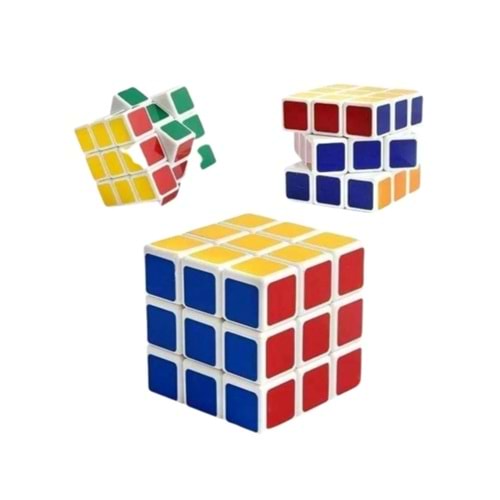 HAKDOĞAN ZEKA KÜPÜ *12