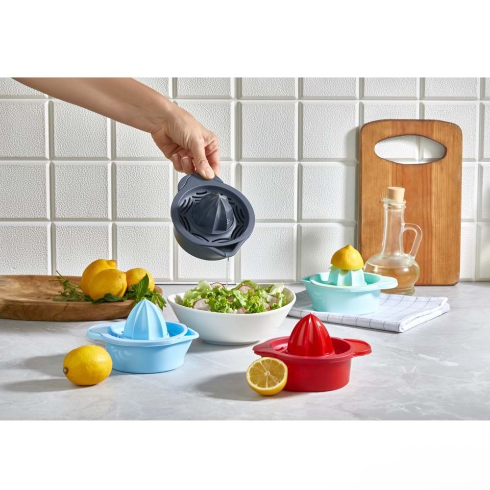 ORGANİZERS SİMPLE LİMONLUK HAZNELİ 24*