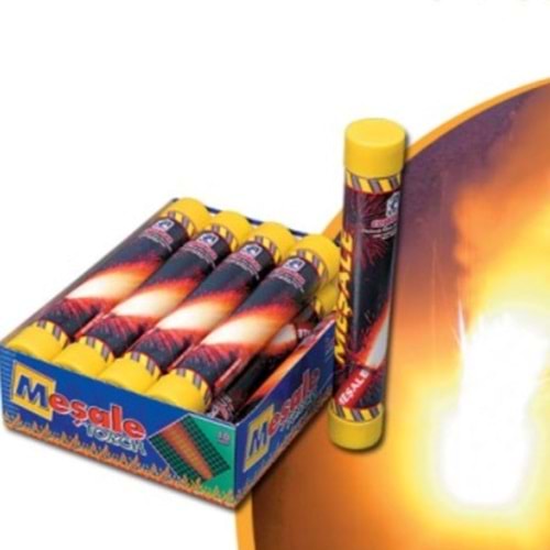 FERDA MEŞALE SARI *10