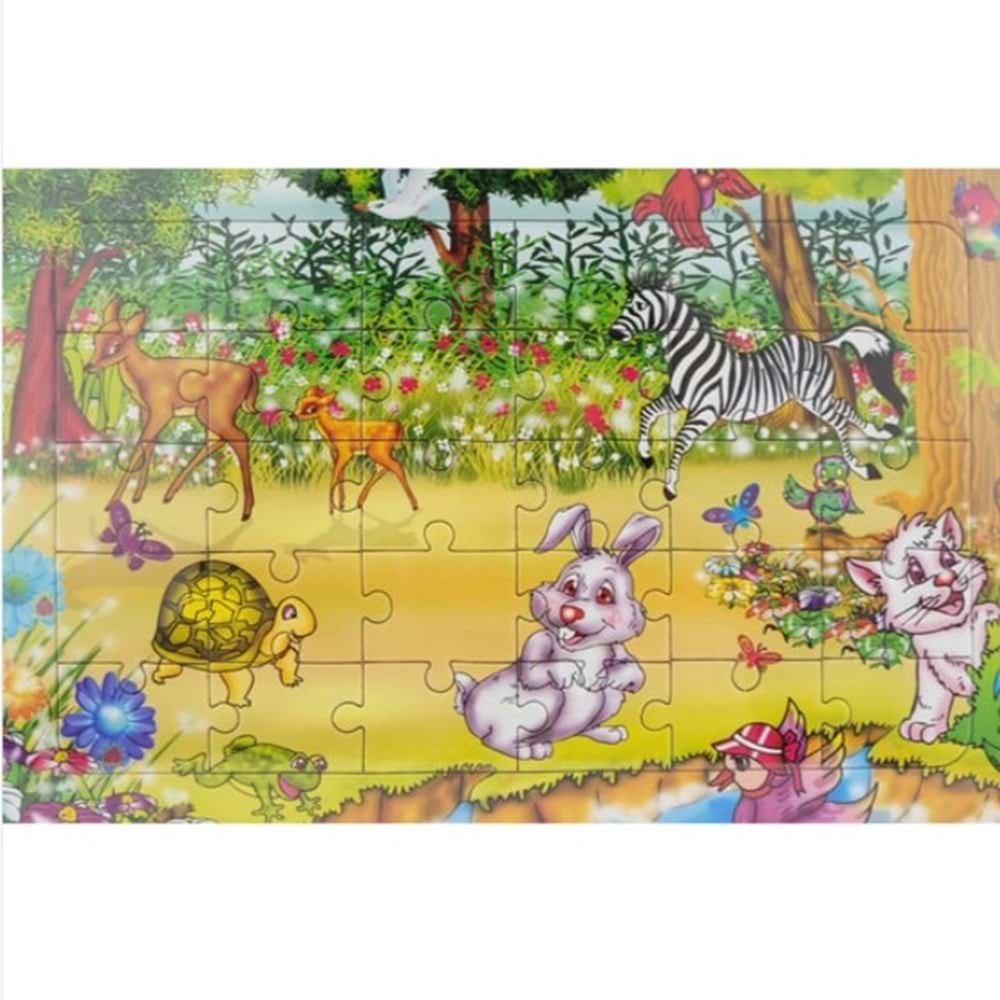 ESER ARKASI BOYAMALI YAP BOZ 30X40 *24