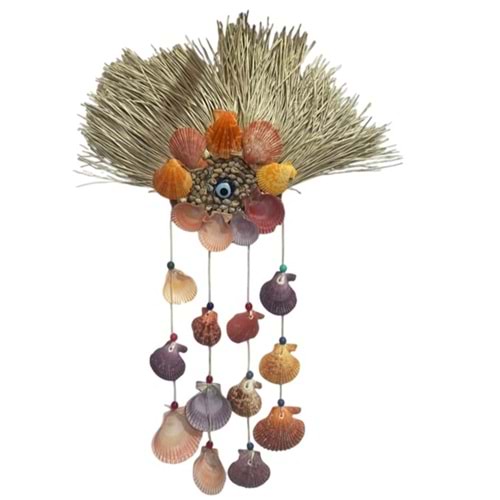 SARKAÇ DENİZ KABUĞU DUVAR SÜSÜ