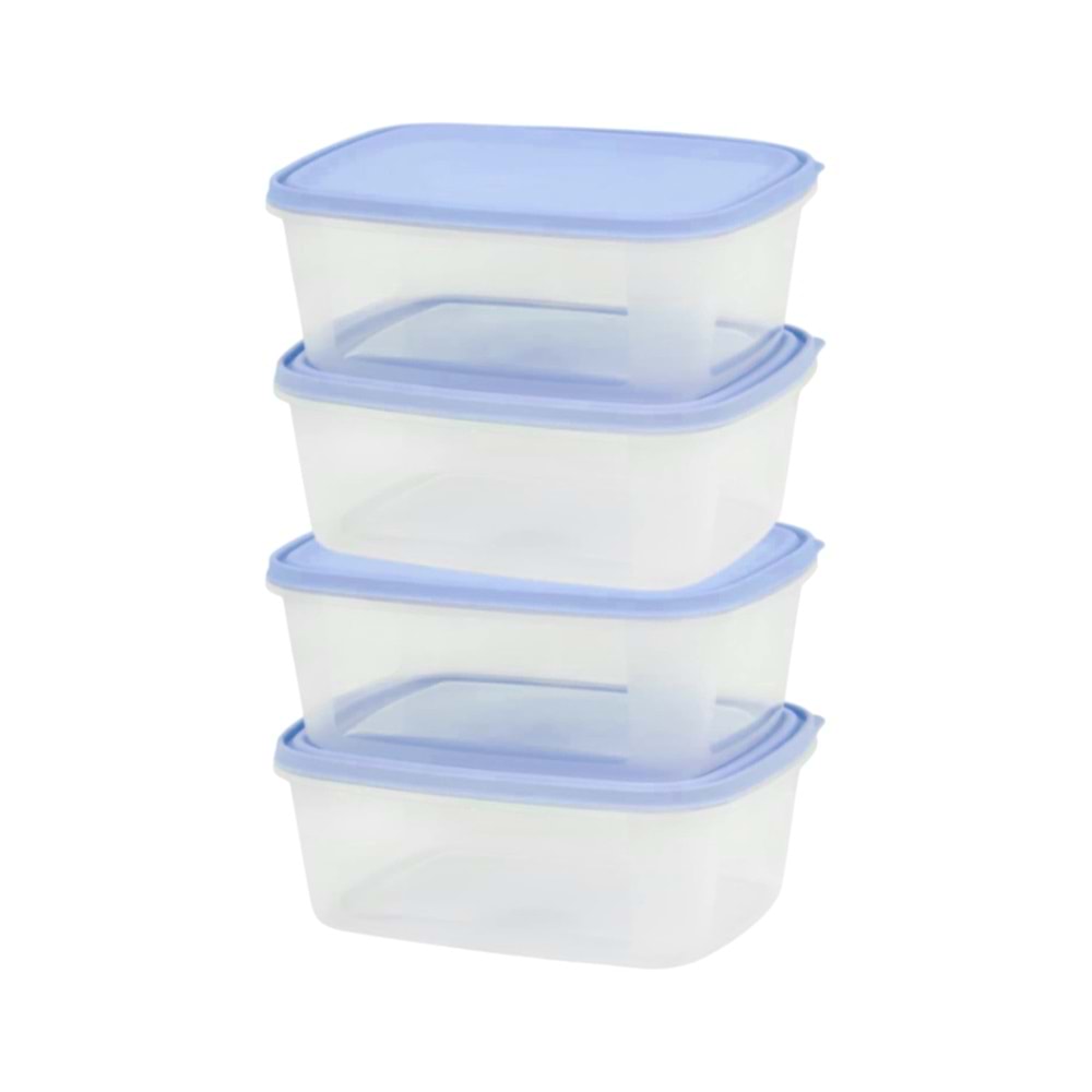 SAGLIK 2000 ML SAKLAMA (4 LÜ SET)