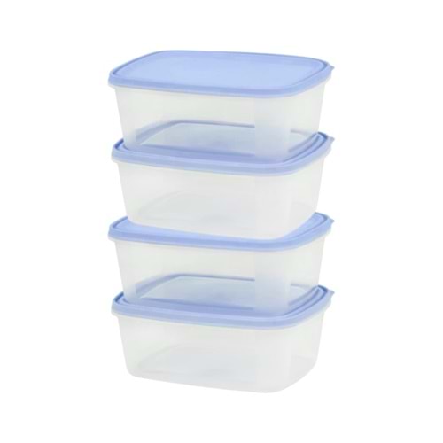 SAGLIK 2000 ML SAKLAMA (4 LÜ SET)