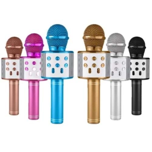 POLYGOLD KARAOKE MİKROFON